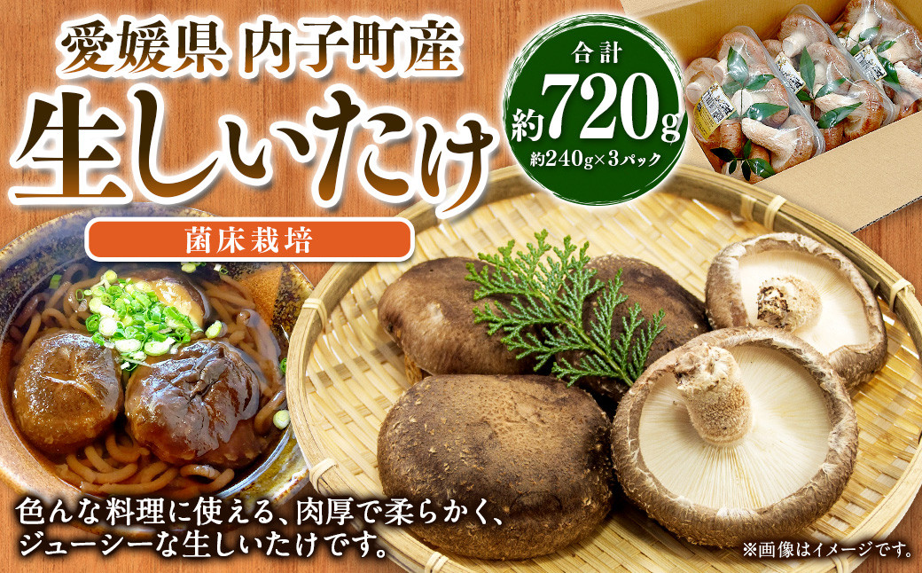 内子町産 生しいたけ（菌床栽培）約240g×3パック【えひめの町（超）推し！（内子町）】（443）