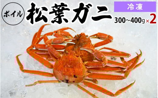 【先行予約】【冷凍】ボイル松葉ガニ（300g～400gを2枚）OM-17 松葉ガニ 松葉がに かに 蟹 カニ 鳥取県境港 御来屋漁港