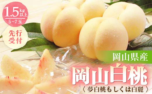 ◆先行受付◆　岡山県産　岡山白桃5〜7玉(2)　2024年発送 TY0-0040