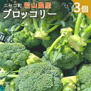 【ふるさと納税】ニセコ町 若山農産 ブロッコリー 3個 ぶろっこりー 野菜 ニセコ町産 農家直送 新鮮 やさい 数量限定 万能野菜 ベジタブル 6,000円 オンライン 申請 ふるさと納税 北海道 ニセコ にせこ 【40001】