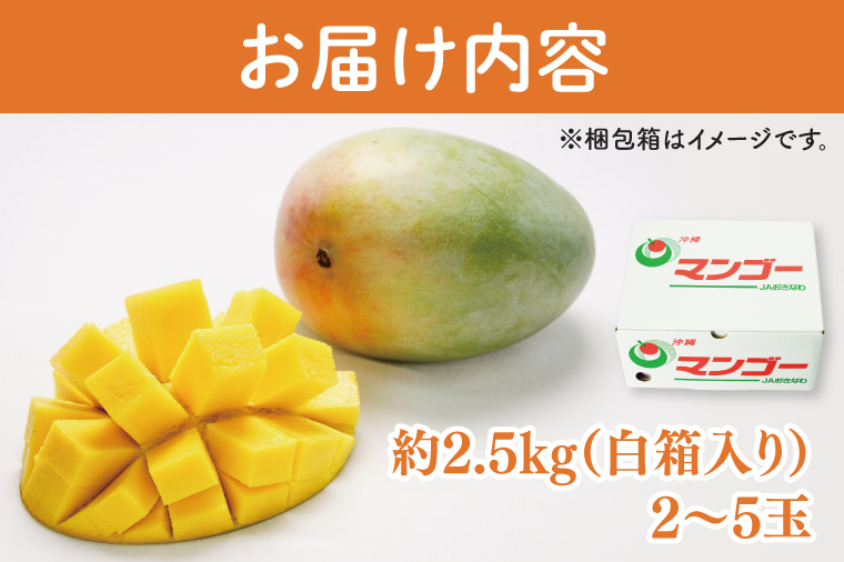 【2025年8月より順次発送】【先行予約】★訳あり★キーツマンゴー 2～5玉(約2.5kg)(白箱)ご家庭用｜沖縄県 豊見城市 訳あり わけあり 訳アリ キーツマンゴー マンゴー キーツ フルーツ 果物 くだもの おきなわマンゴー 家庭用 先行予約(AE017)