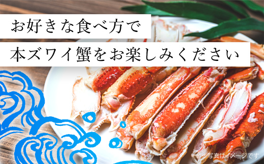 冷凍ボイル本ズワイ蟹　6肩（1.5㎏) TMN003 / ずわいがに ずわいガニ ズワイガニ ズワイ蟹 本ズワイ蟹 本ずわいがに 本ズワイガニ 本ズワイ蟹 蟹 かに カニ 冷凍ボイル本ズワイ蟹  冷凍ボイル  冷凍ずわいがに 冷凍ズワイガニ 冷凍ズワイ蟹 冷凍本ズワイ蟹 冷凍本ずわいがに 冷凍本ズワイガニ 冷凍本ズワイ蟹 冷凍蟹 冷凍かに 冷凍カニ 肩 ずわい ズワイ 小分け スクーナー