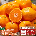 【ふるさと納税】【先行予約】 高評価 有田みかん 秀品 サイズ S ～ L 内容量 選べる 5kg 10kg 濃厚 ジューシー 有田 みかん 温州みかん フルーツ 果実 果物 デザート 柑橘 国産 食品 食べ物 期間限定 お取り寄せ 和歌山県 湯浅町 送料無料 紀伊国屋文左衛門本舗