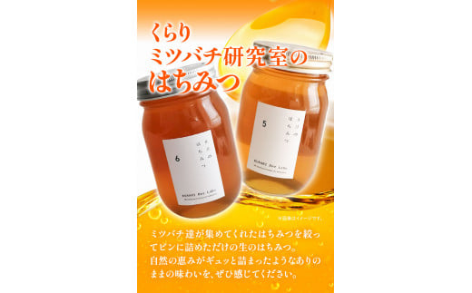 6月のはちみつ540gKURARIくらりミツバチ研究室《90日以内に出荷予定(土日祝除く)》蜂蜜ハチミツ非加熱純正生ヨーグルト---wsk_krrjhoney_90d_22_10000_1d---