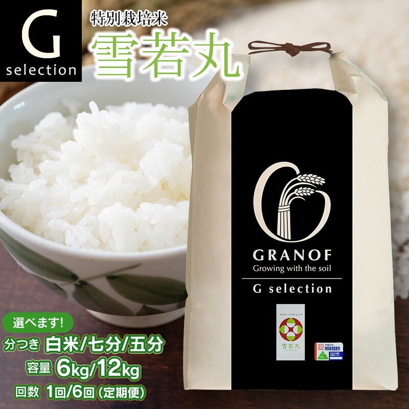 【ふるさと納税】【令和7年産先行予約】Gセレクション 特別栽培米 雪若丸 山形県鶴岡産 つき加減(精米加減 5分つき・7分つき・白米）と容量（6kg or 12kg）・発送回数（1回・6回）選べる　6ヶ月定期便（毎月1回中旬発送）