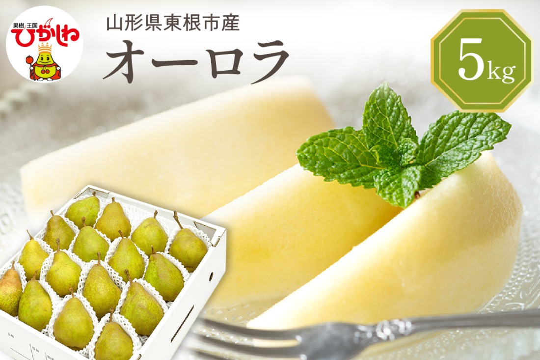 【令和7年産 先行予約】西洋梨オーロラ５ｋｇ 秀品　化粧箱入り　山形県 東根市 東根農産センター提供 hi027-186-2