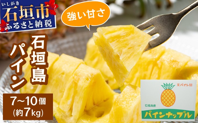 石垣島パイン 7～10 個約 7kg ハワイ種【6月中旬頃より順次発送予定】 