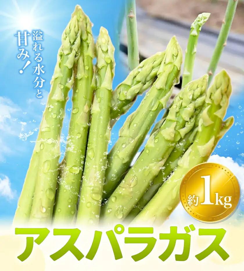 アスパラガス 約1kg 松金農園《2月上旬-3月下旬頃出荷》