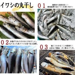 【大好評!】脂の乗ったいわしの丸干し 25本セット【配送不可地域：離島】【1362775】