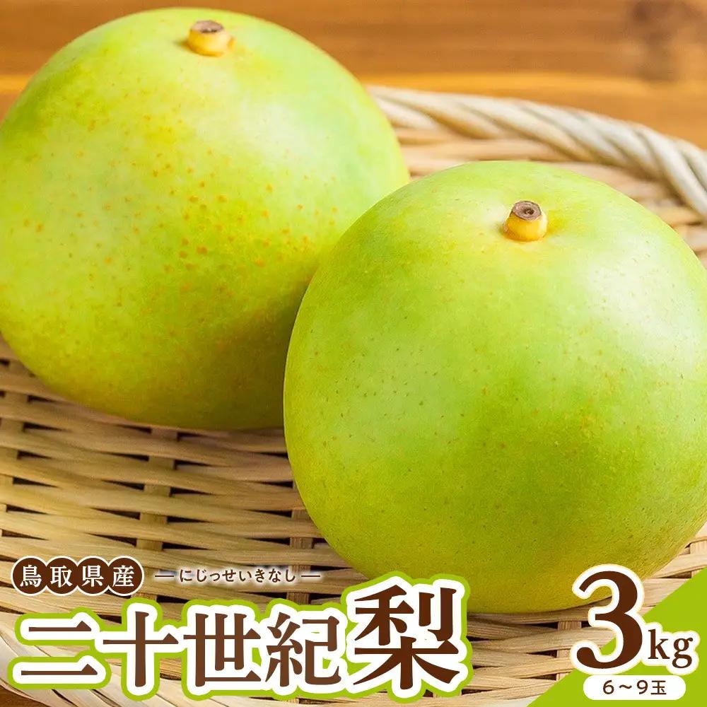 二十世紀梨 3kg 先行予約 数量限定 梨