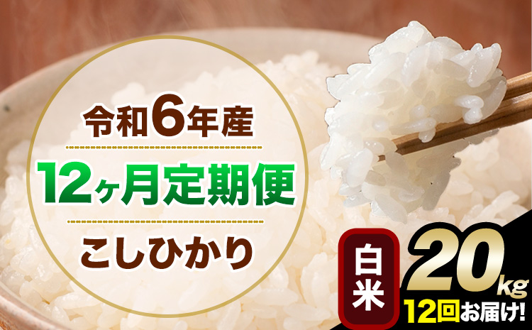【12ヶ月定期便】令和6年産 定期便 こしひかり 白米 定期便 20kg 精米 熊本県産(南阿蘇村産含む) 単一原料米 南阿蘇村《申込み翌月から発送》---kh6tei_702000_20kg_mo12_mna_h---