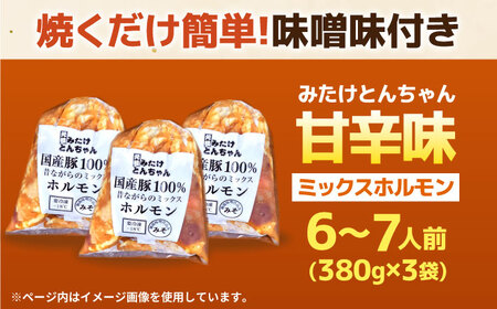「元祖みたけとんちゃん」 昔ながらのミックスホルモン 3袋 / モツ もつ レバー ホルモン / 御嵩町 / 藤よし[AVAA048]