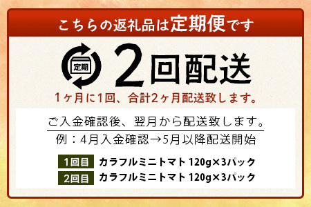 【2回定期便】【先行予約】 カラフルミニトマト 【少量パック】120gx3p　たにぐちファーム カラフルミニトマト 360g とりこになるトマト 野菜 とまと トマト リコピン 佐賀産 佐賀県 鹿島市
