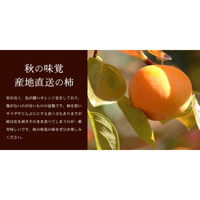 種なし柿 【秀品:サイズ・品種おまかせ】かき 約7.5kg