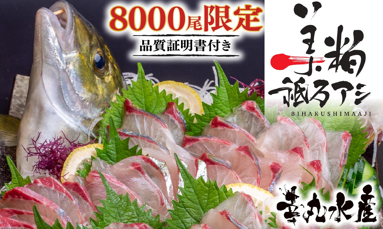 美粕祇万アジ 250g フィーレ 2パック 高級魚 刺身 刺身用 縞鯵 シマアジ 鯵 海鮮 鮮魚 新鮮 魚介 冷凍 魚 さかな 小分け 高知県 須崎市 SCM001