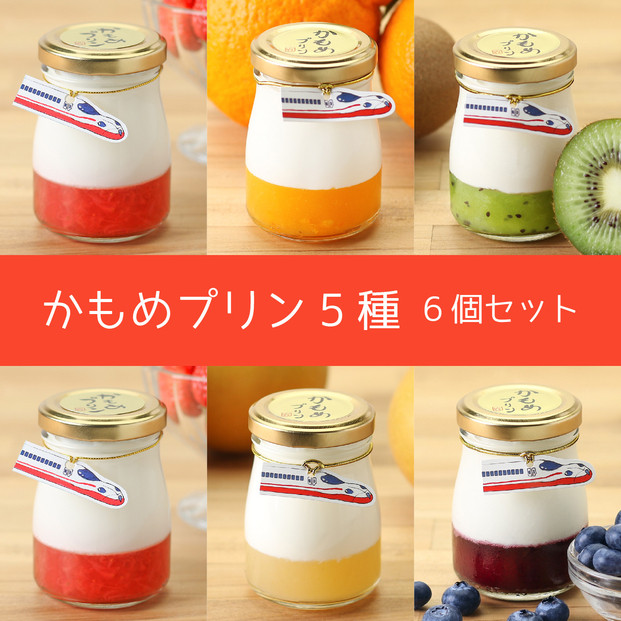 かもめプリン5種6個セット