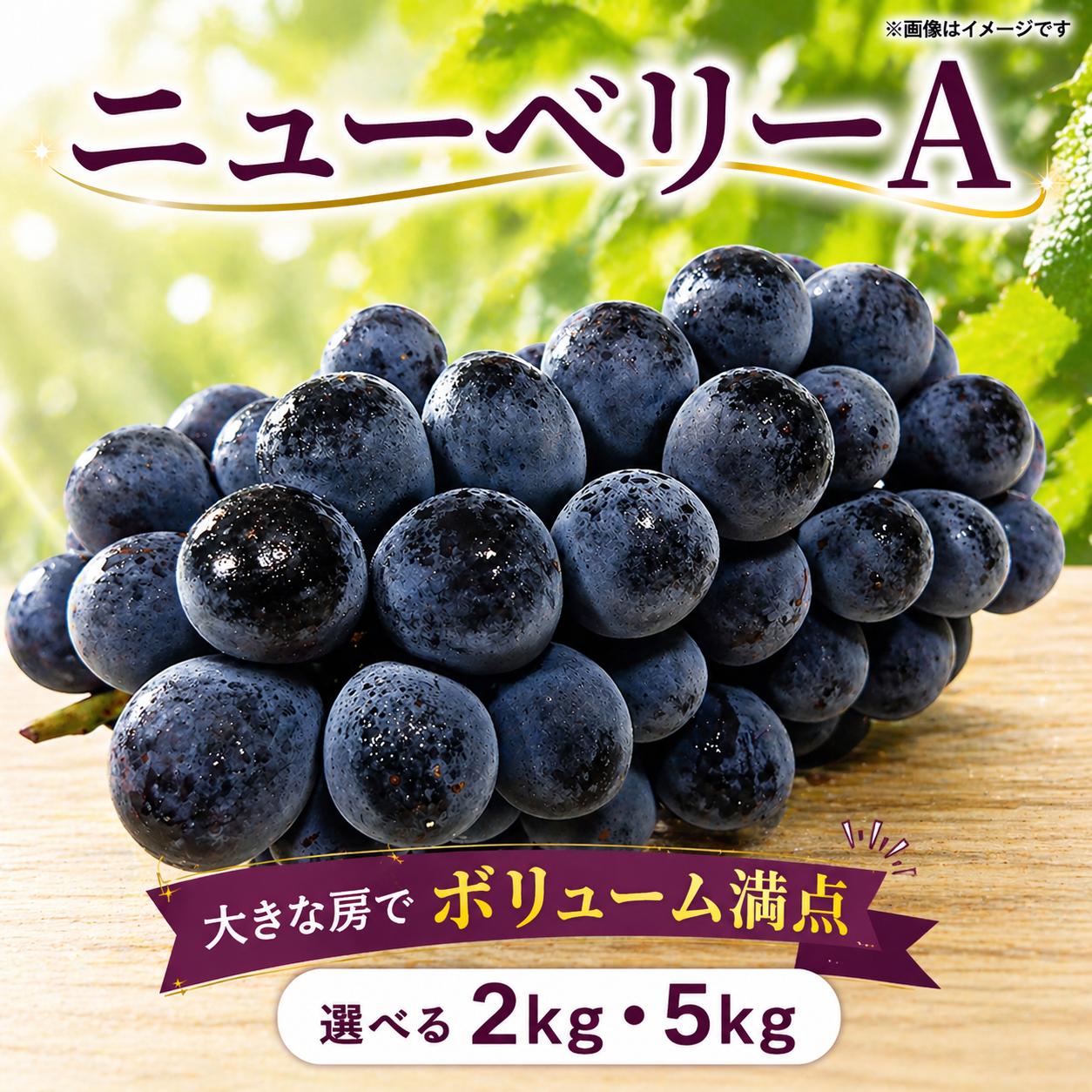 
                  【 先行予約 】 ぶどう ニューベリーA 2kg 5kg 《 2026年 8月上旬 ～ 順次発送 》フルーツ ぶどう 葡萄 期間限定 旬 産地直送 農家直送 産直 贈答 家庭用 ギフト 中内農園 ぶどう 直売所 徳島県 阿波市 
                