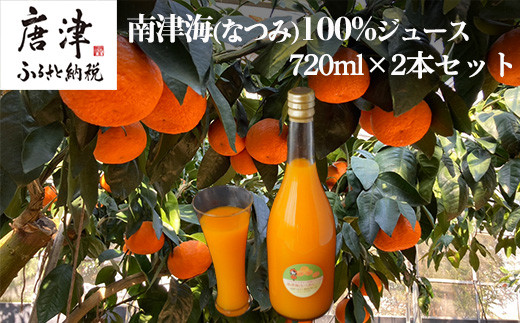 
                  南津海(なつみ)100% 720ml×2本セット みかんジュース 飲料 飲み物 ソフトドリンク 蜜柑 ミカン オレンジジュース
                