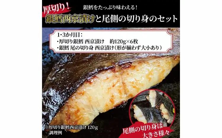 定期便 3ヵ月「厚切り銀鱈西京漬」1kgと尾の身＆骨抜き西京漬け 5種 各2枚 計10枚 銀鱈 銀ヒラス ホッケ又はサバ 赤魚 鱈類 銀鱈西京焼き 銀鱈 西京焼き 漬け魚 漬魚 西京味噌