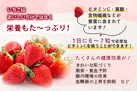 【2025年3月～発送開始】先行予約 熊本県産 いちご ゆうべに 2箱 (250g×8パック) イチゴ 果物 フルーツ 熊本県 多良木町 農園直送 107-0502