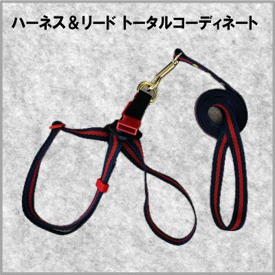 ふるさと納税 荒川区 トイプードル向けハーネス&リード(カラー:紺赤紺)【001-018-2】 |  | 01