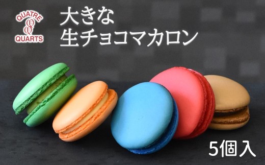 
                  大きな生チョコマカロン 5個入り（抹茶チョコ・ブルーベリーチョコ・ラズベリーチョコ・オレンジチョコ・ビターチョコ）
                