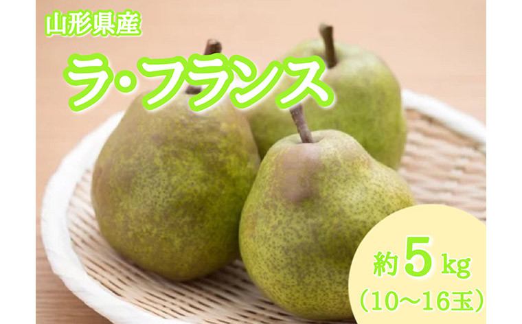 
                  山形産 ラ・フランス 秀品 約5kg(10～16玉)【令和8年産先行予約】FS25-795
                