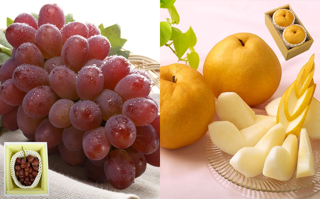 【4回定期便】フルーツ 2026年 先行予約 4回お届け便！