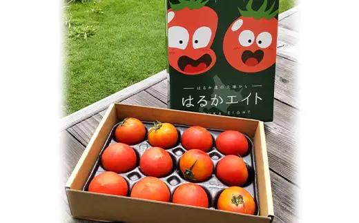 【先行予約】令和8年産 フルーツトマト はるかエイト 2箱 トマト F4G-0348