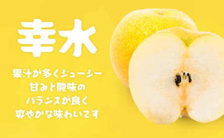 【2024年先行予約】石川梨・ぶどう園 梨（幸水）約5kg 数量限定 ※8月上旬以降発送