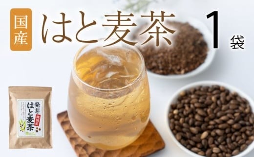 
            麦茶 はと麦茶 60包 ティーバッグ レビューキャンペーン
          