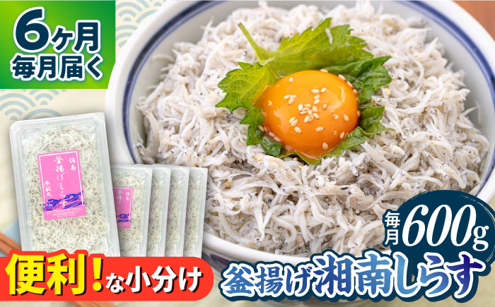 
                  【全6回定期便】釜揚げ 湘南しらす 600g 小分け 120g×5パック / しらす 湘南 ふわふわ 食感 冷凍 国産 シラス お取り寄せ 人気 佐島 横須賀 かながわブランド 神奈川県
【平敏丸】 [AKEZ006]
                