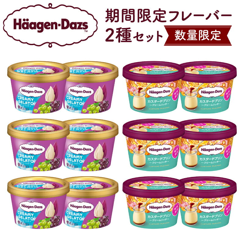 【ふるさと納税】【数量限定】 ハーゲンダッツ アイスクリーム ミニカップ 12個 CREAMY GELATO 贅沢ぶどう カスタードプリン 2種 アイス ジェラート スイーツ デザート 高級 濃厚 北海道 期間限定 人気 おすすめ 国産 浜中町産 牛乳 冷凍 菓子 ギフト 贈り物 ご褒美 贅沢