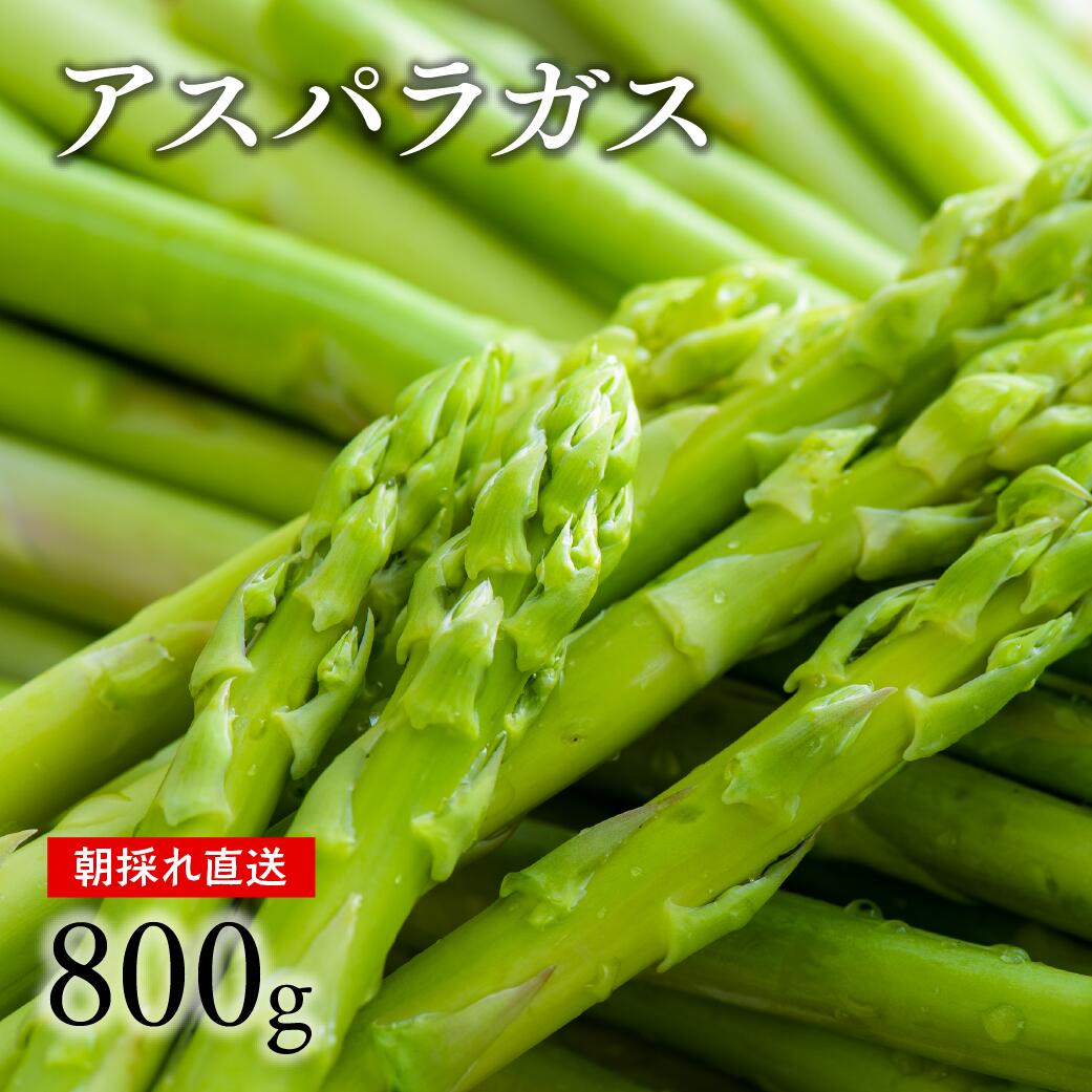 【ふるさと納税】アスパラ 野菜 グリーン アスパラガス 800g 配送月【2～3月／5～6月／7～9月】 大分県産 農家直送 新鮮 先行予約