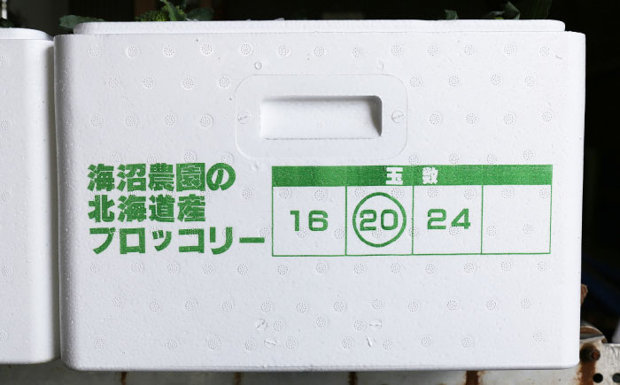 ブロッコリー ブロッコリ 北海道産 新鮮 野菜 旬の野菜  先行予約 北海道