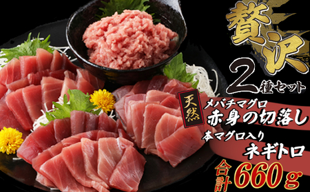 まぐろ お手軽セット 【赤身切落し・本マグロ入りネギトロ】計660ｇ まぐろ 切落し ネギトロ 本まぐろ 刺身 マグロ 海鮮 メバチマグロ 鮪 ねぎとろ 赤身 10000円 1万円 まぐろ マグロ 鮪 海鮮 刺身 まぐろ マグロ 鮪 海鮮 刺身 まぐろ マグロ 鮪 海鮮 刺身 まぐろ マグロ 鮪 海鮮 刺身