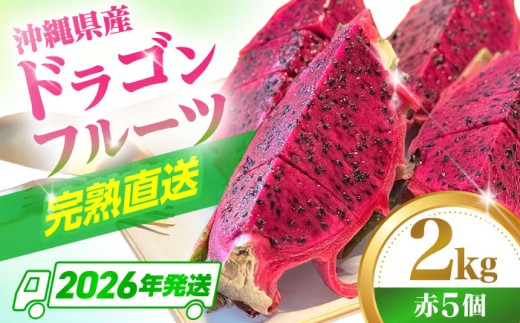 ドラゴンフルーツ 2kg (5玉) 【2026年発送】 タカエスフルーツ＆ベジタブル [BCBH004] フルーツ ふるーつ Fruit 赤 果肉 レッド ピタヤ トロピカルフルーツ 完熟ドラゴンフルーツ トロピカル くだもの 青果 果実 国産 産地直送 産直 沖縄県産 農家直送 南国 果物 火龍果 果物 フルーツ デザート お取り寄せ 期間限定 沖縄県 沖縄市