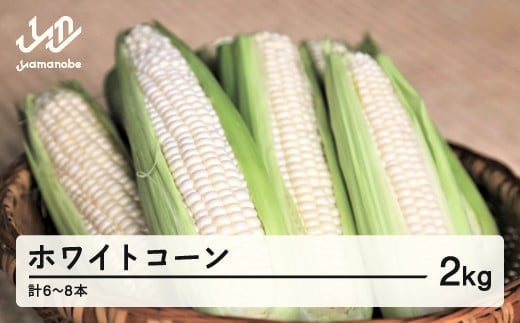 《先行予約》2025年 山形県産 ホワイトコーン 2kg(6～8本）生で味わう 白とうもろこし トウモロコシ コーン 夏 野菜 やさい ※沖縄・離島への配送不可 F21A-243
