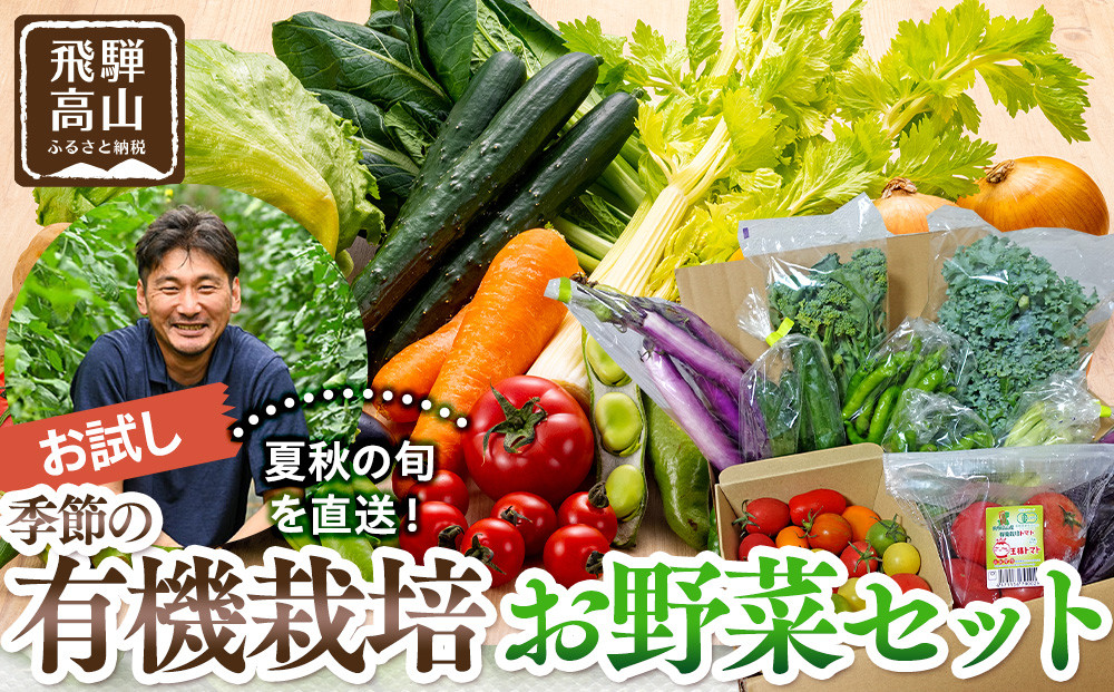 飛騨高山産 季節の有機栽培お野菜セット（お試し）お届け：6月〜10月｜お試し 新鮮  有機野菜 旬野菜 地元野菜 やさい 農園 高山市 山藏農園 JC021