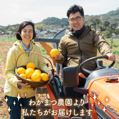 ふるさと納税 糸島市 【全3回定期便】農香 ばぁむ クリーム わかまつ農園 [AHB026] |  | 02