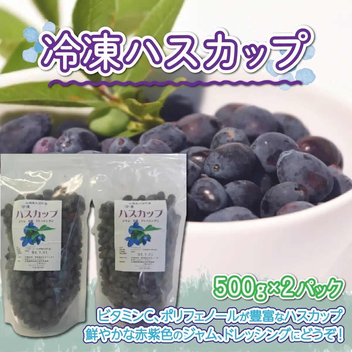 冷凍ハスカップ500g×2パック OSO001 | ハスカップ