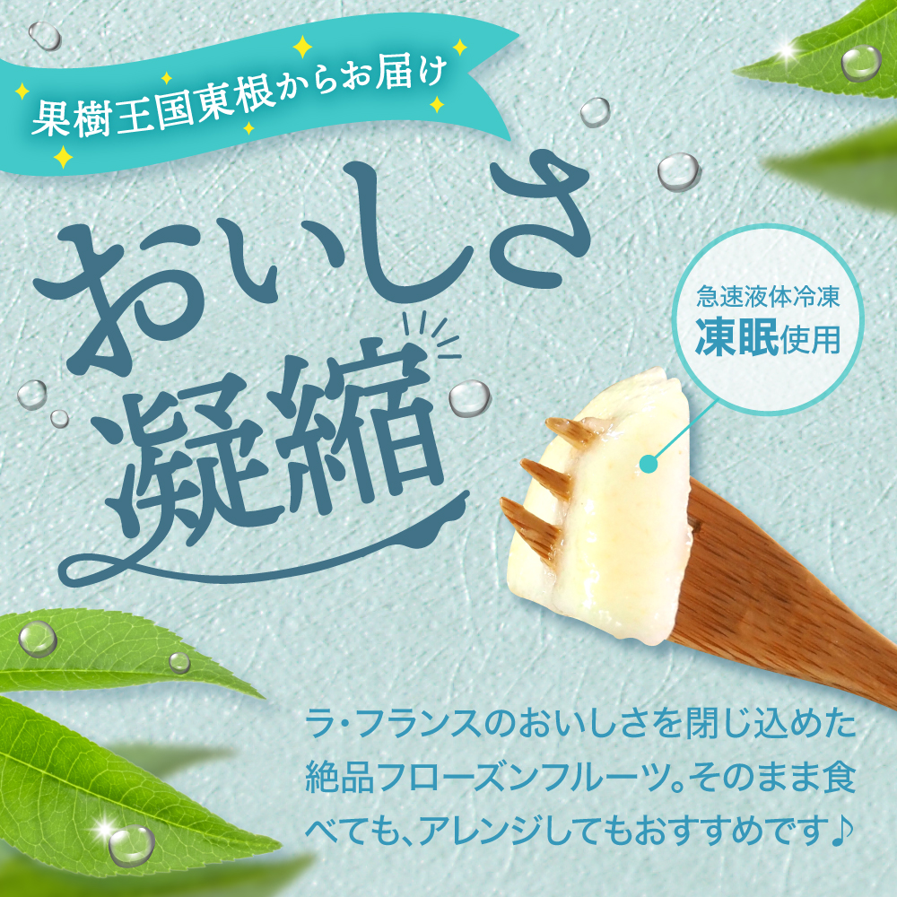 【急速冷凍】東根市産 カット済み ラフランス 500g×2袋 東根農産センター提供 hi027-248