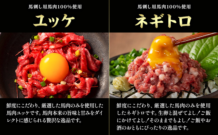 馬肉 熊本特産 フジチクオリジナル ふじ 馬刺し 堪能 セット 道の駅竜北《30日以内に出荷予定(土日祝除く)》 熊本県 氷川町 肉 馬肉 メン 大トロ 中トロ ヒレ シャトーブリアン ロース ランプ