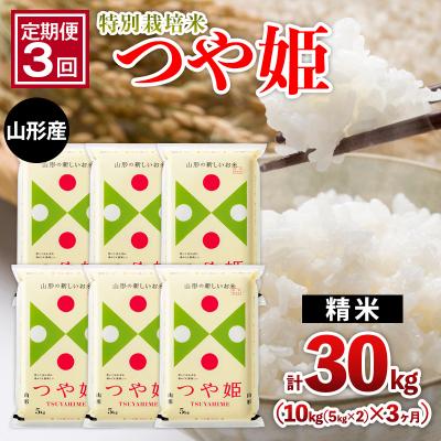 ふるさと納税 山形市 【定期便3回】山形産 特別栽培米 つや姫 10kg (5kg×2)x3ヶ月 FZ26-771