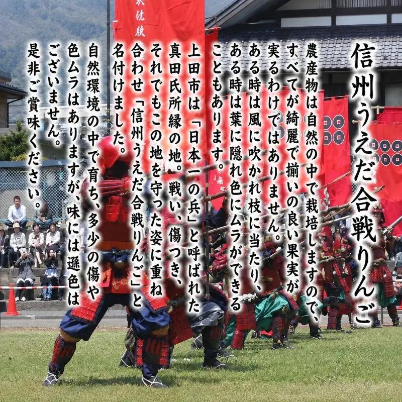 りんご 秋映 約10kg 果物 くだもの りんご