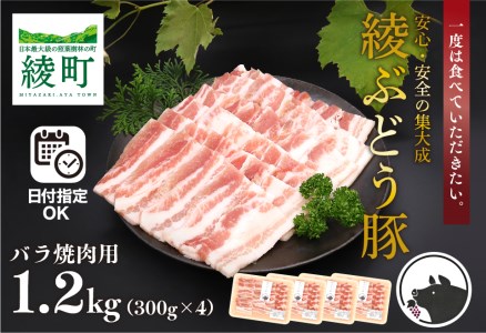 【希少】ブランド豚「綾ぶどう豚」 バラ焼肉お試しセット【宮崎県産 綾町産 豚肉 バラ 焼肉 ブランド豚 食べつくし 食べ比べ 綾ぶどう豚 セット 調理 バーベキュー BBQ】