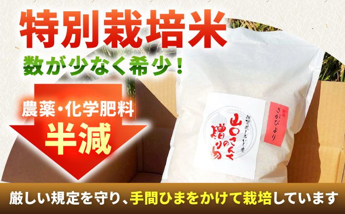 【令和6年度産】特別栽培米 さがびより 5kg 白米 山口さんちの贈り物 【y'scompany】米 お米 佐賀県産 [IAS005]