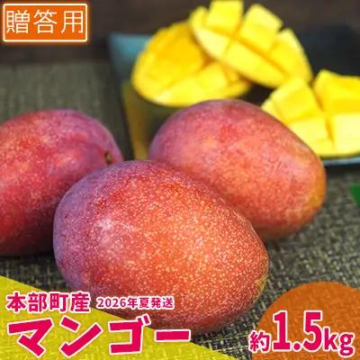 マンゴー【2026年夏発送】もとぶ町産マンゴー（贈答用）約1.5kg詰め フルーツ