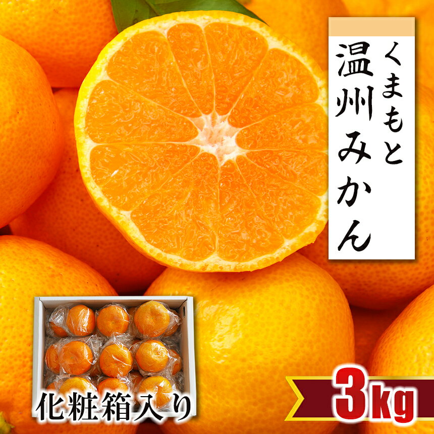 【ふるさと納税】贈答用 みかん 約3kg 化粧箱 温州みかん 秀品 専用箱 オリジナル 約3キロ 生産者直送 産地直送 玉名 熊本 送料無料