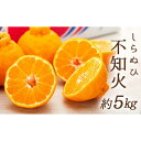 【ふるさと納税】不知火 (しらぬひ) 約5kg（12～24玉入り）【2025年2月～3月発送】 | フルーツ しらぬい しらぬひ みかん ミカン 蜜柑 柑橘 食品 おすすめ 送料無料